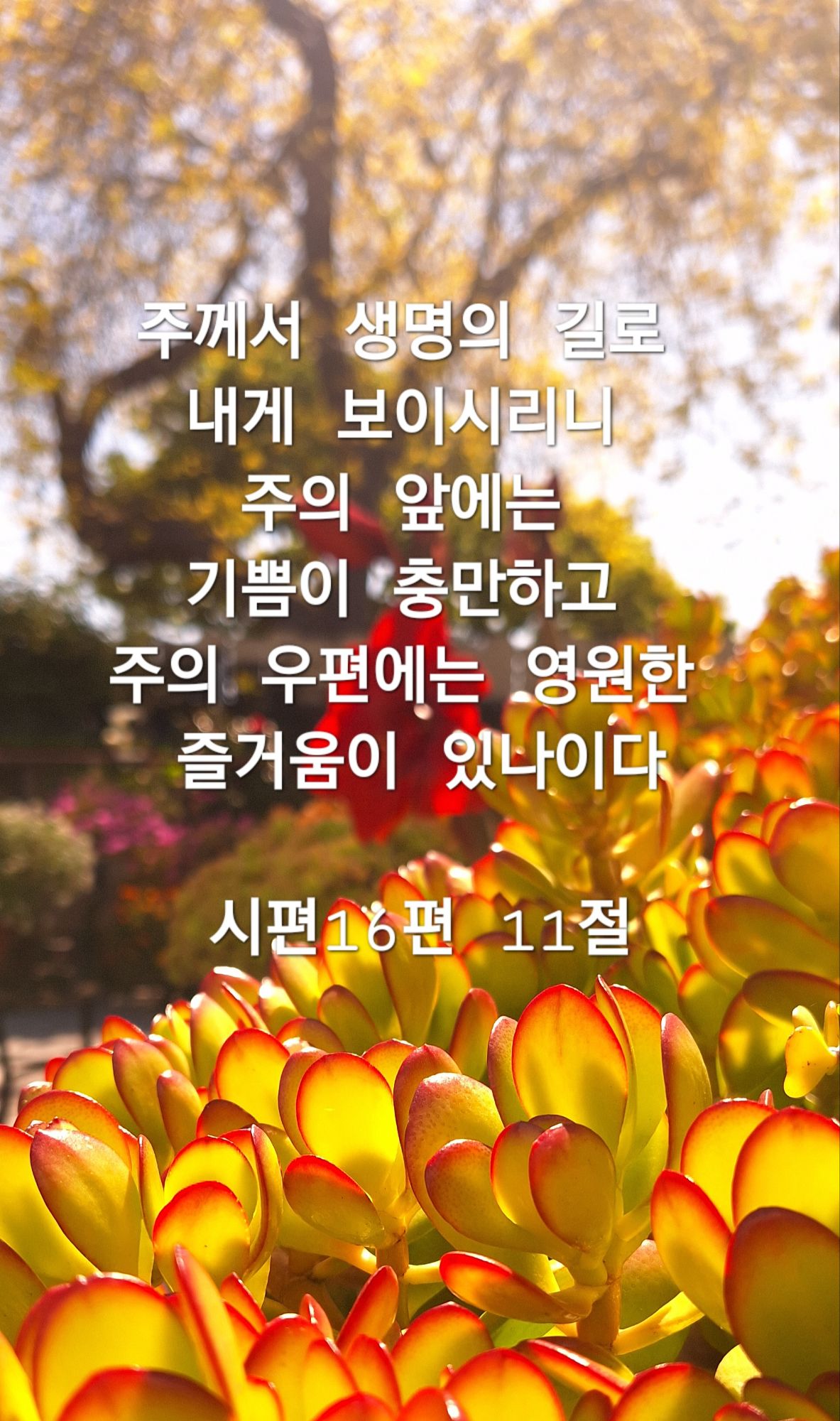 시편 16편11절