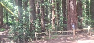 KakaoTalk_20250607_235619458