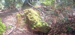 KakaoTalk_20250607_235625467