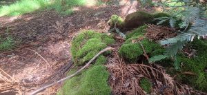 KakaoTalk_20250607_235627766