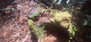 KakaoTalk_20250607_235629897