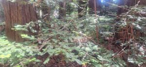 KakaoTalk_20250607_235632018