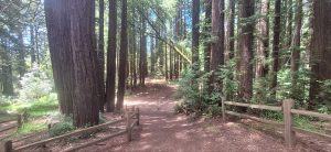 KakaoTalk_20250607_235633970