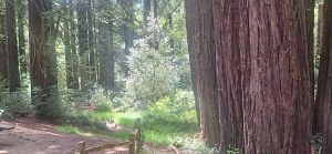 KakaoTalk_20250607_235636009