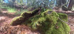 KakaoTalk_20250607_235638168