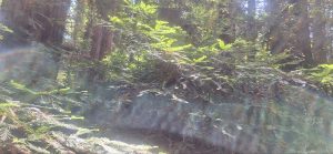 KakaoTalk_20250607_235640208